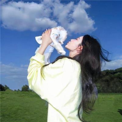 退婚后,陆总每天求复合